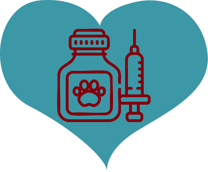 Bottle and needle icon inside of a heart for the Preventative Care services title