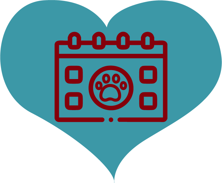 A calendar icon with a paw inside of a heart for the Oncology services title