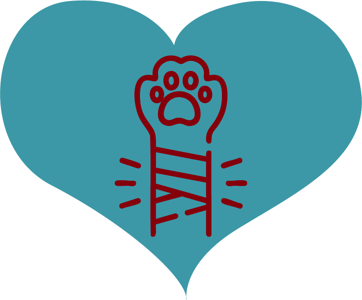 A bandaged paw icon inside of a heart for the Laser Therapy services title