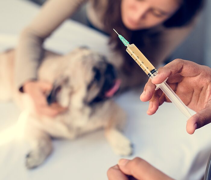 Image of a in-focus vet holding a filled syringe in front of a out-of-focus woman and her dog representative of Preventative Care services