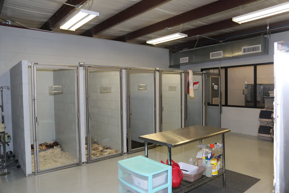 Photo of Animal Care Center of Tupelo Location Back of Office, includes several kennels and a table