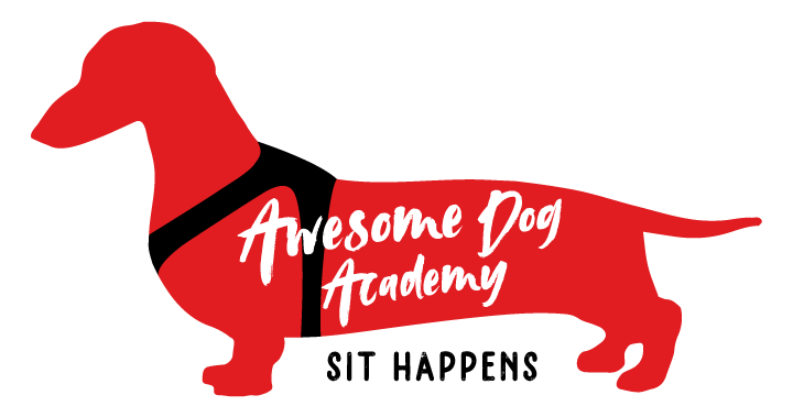 Awesome dog Academy Logo
