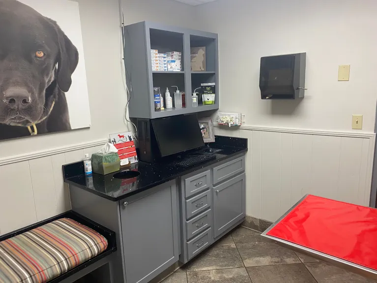 Photo of Animal Care Center of Tupelo Location Exam Room, includes a shelf with supplies, a small bench, and the edge of an exam table