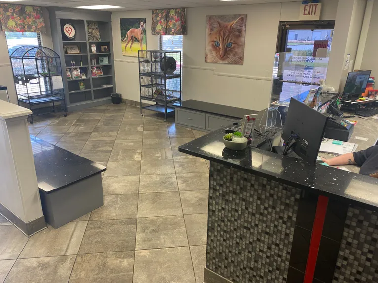 Photo of Animal Care Center of Tupelo Location Front of Clinic, includes the front desk as from the side, two cages, and a shelf filled with several items