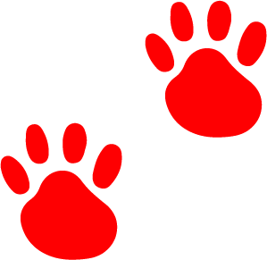 Double Paw Icons