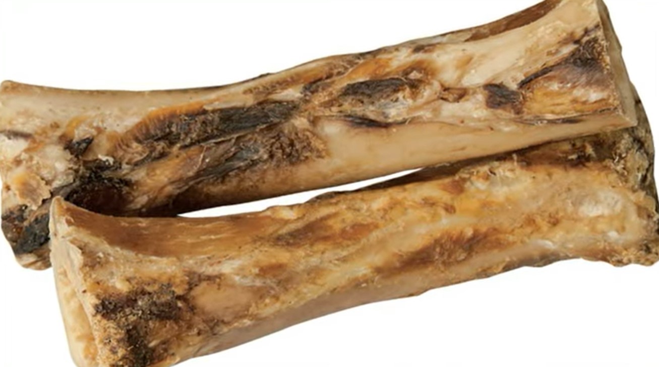 Image of bones