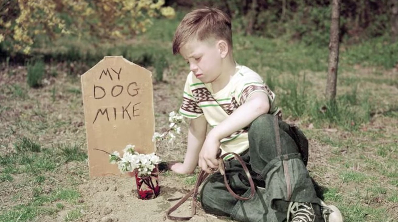 Image of a sad child sitting by the grave of a pet dog