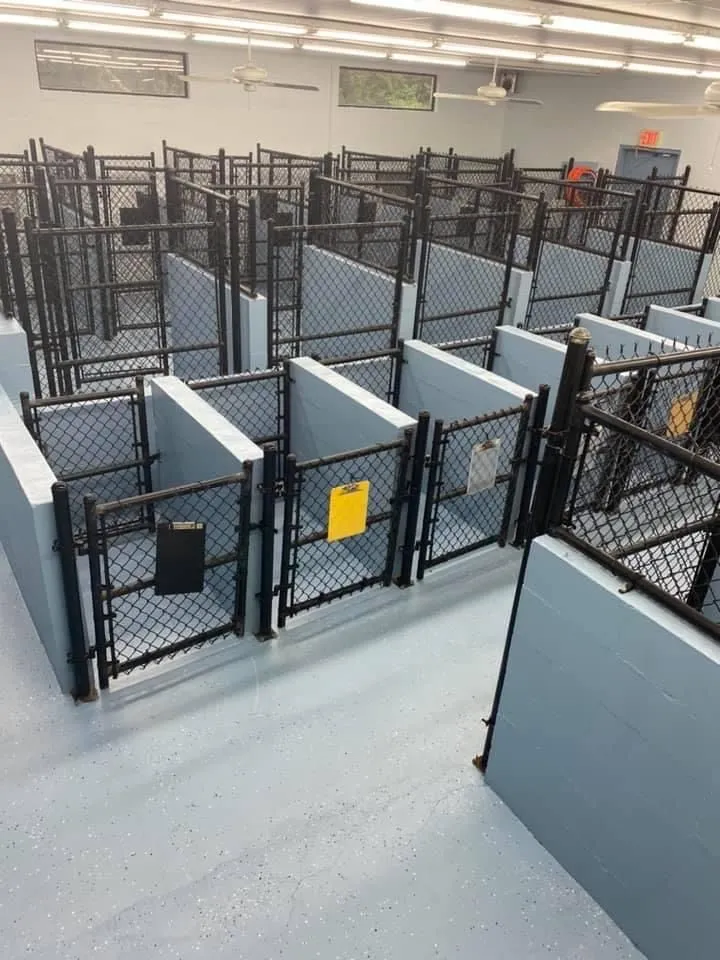 Photo of Animal Care Center of Tupelo Location Kennels, includes a view from a upward angle of the large and small kennels