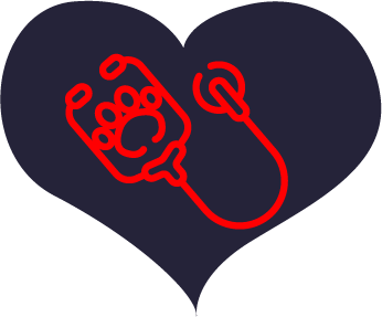 A stethoscope icon inside of the heart for the Preventative Services section on the homepage